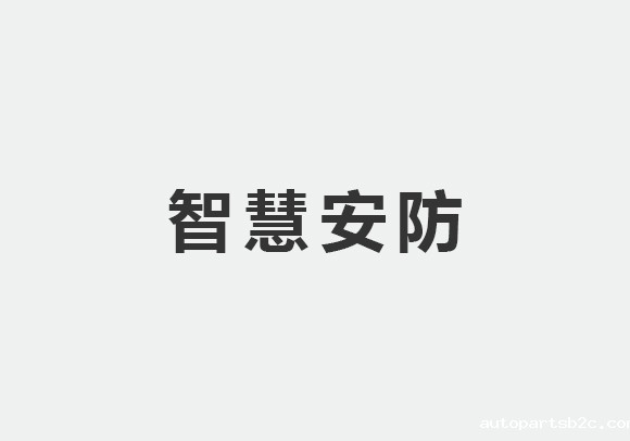 智慧安防 智慧安防