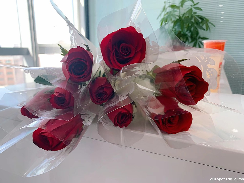 广州百度雷竞技计算机共庆38女神节(图3) 广州百度雷竞技计算机共庆38女神节(图3)